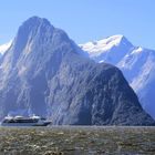 NZ Milford Sound mit Kreuzfahrtschiff