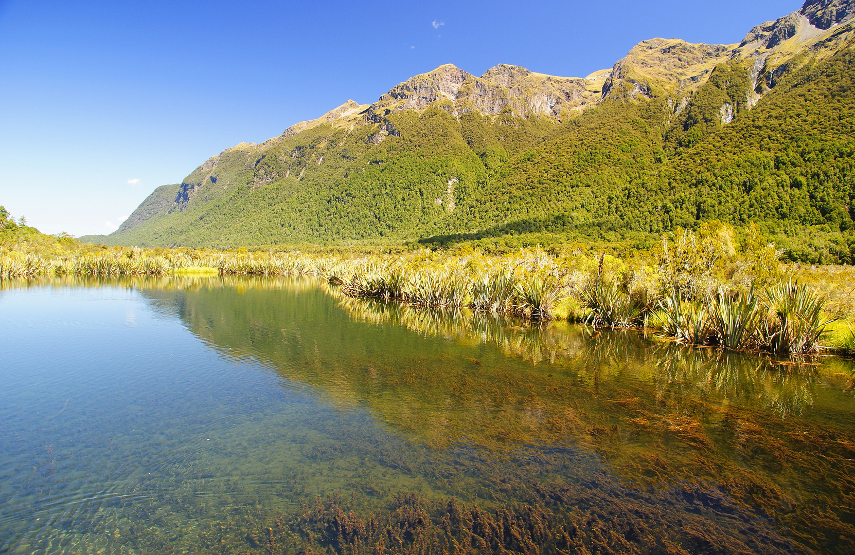 NZ Mirror Lakes