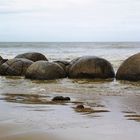 NZ Moeraki Boulders