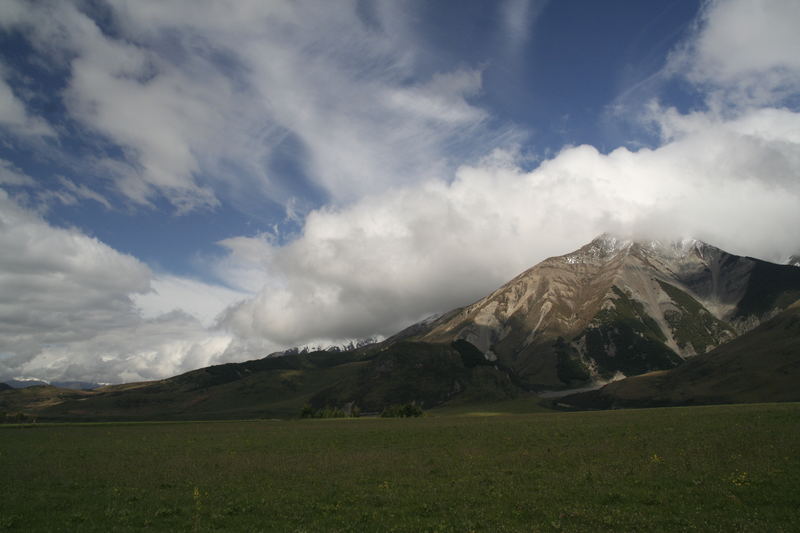 NZ never fading Sky NO.1