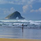 NZ Ninety Mile Beach Matapia Island