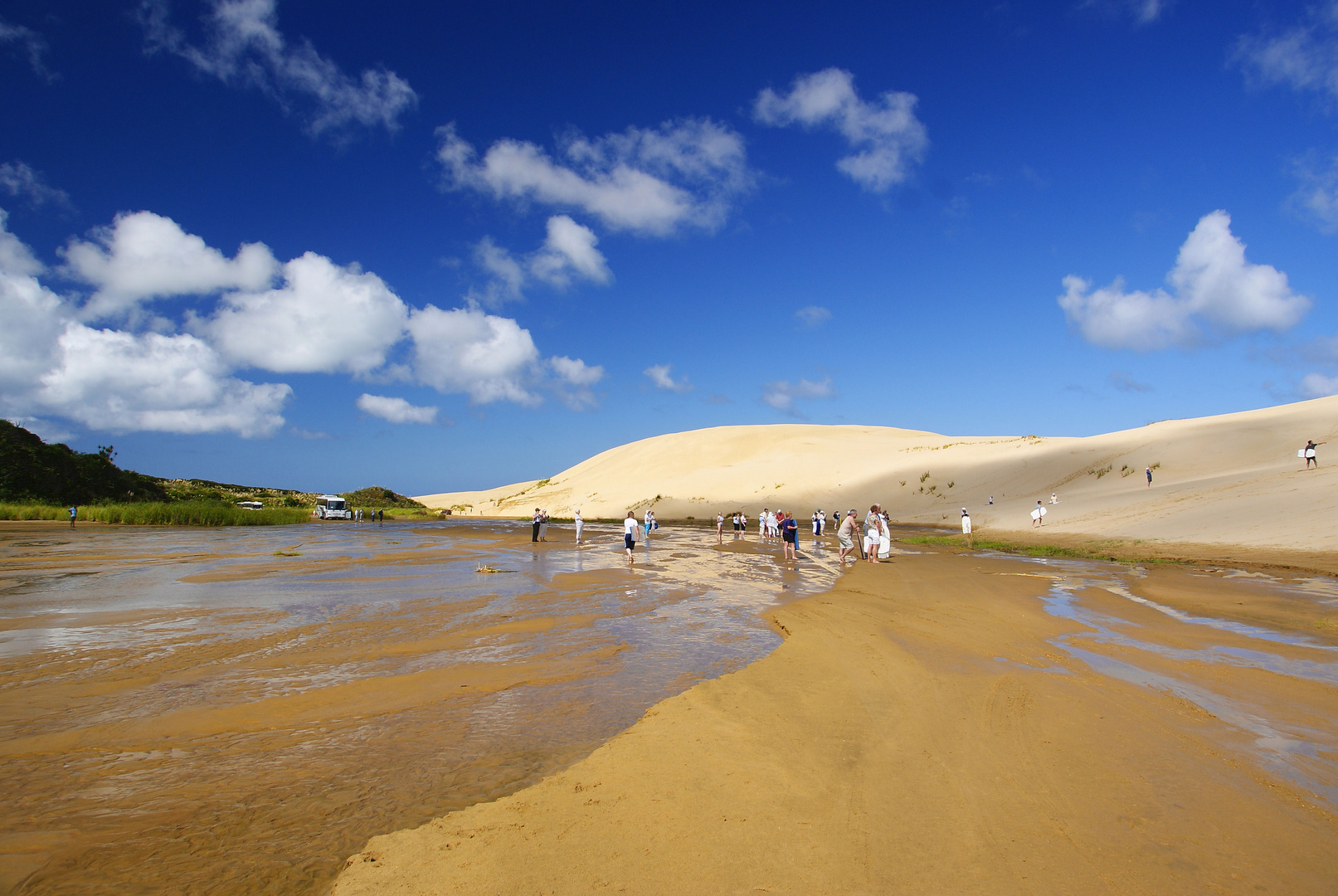 NZ Ninety Mile Beach Skeleton auf Sand