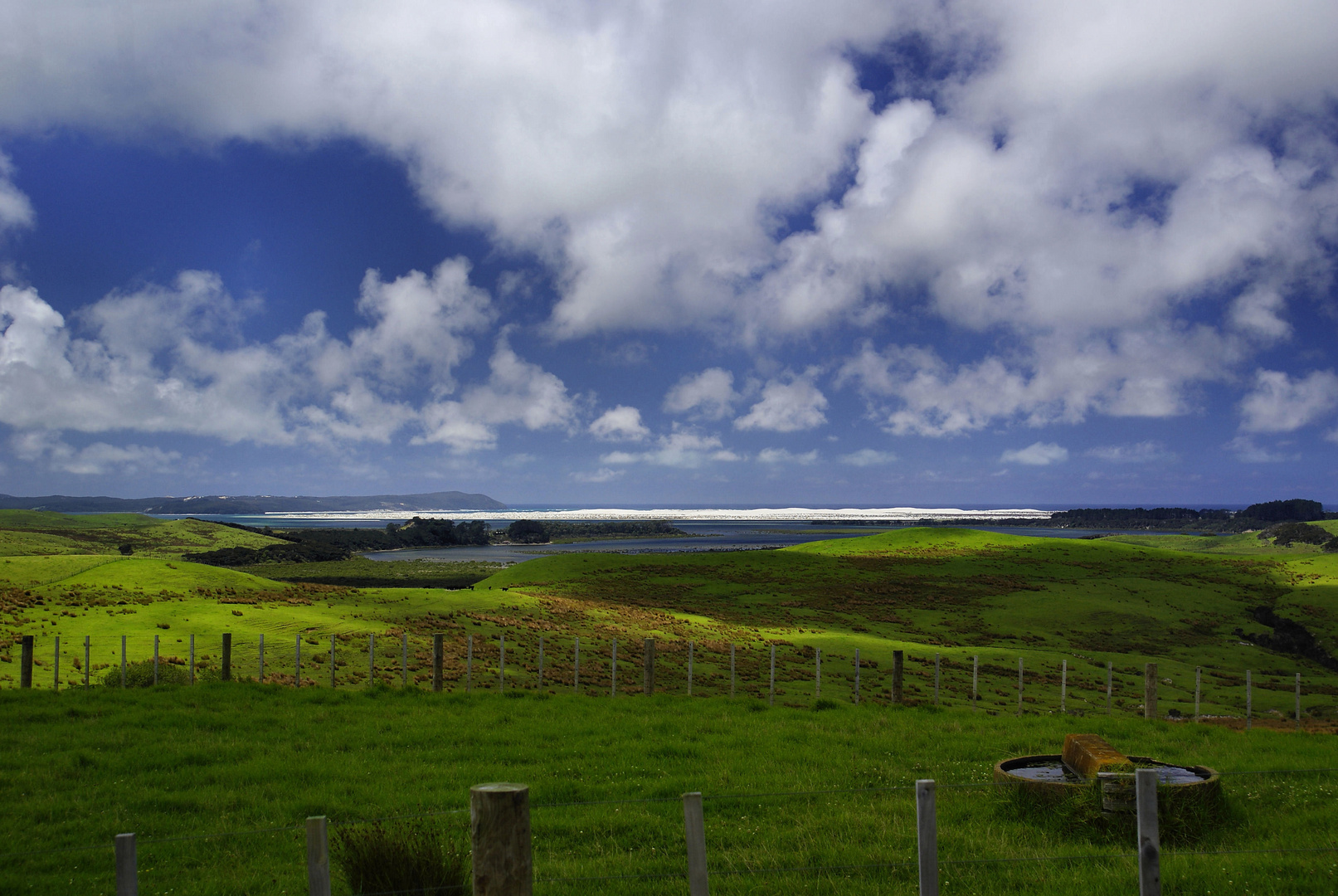 NZ Northland Licht und Schatten