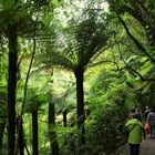 NZ Ohakune Naturkunde hautnah...