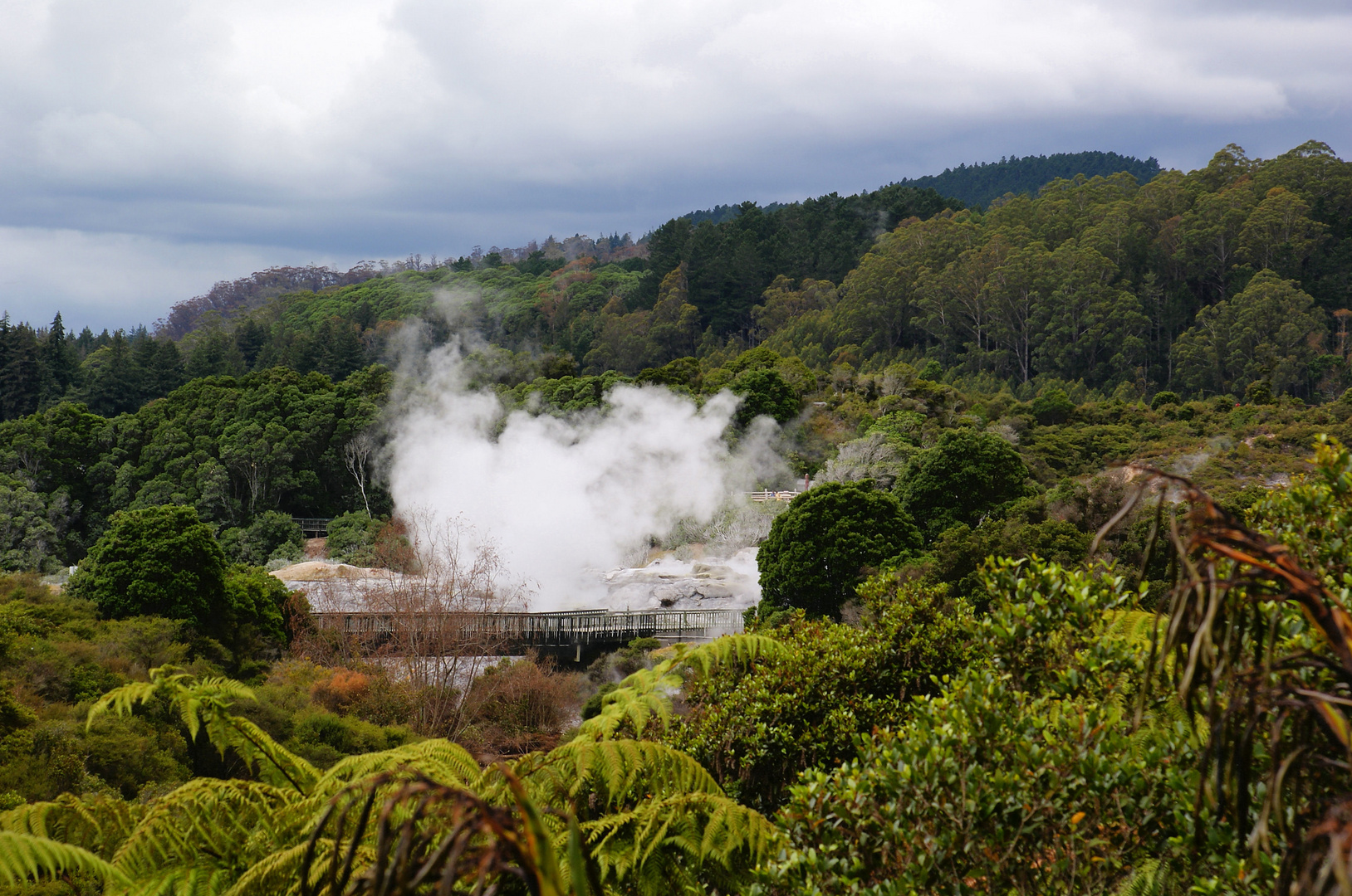 NZ Rotorua Dampfkessel