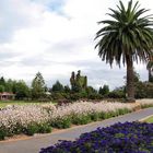 NZ Rotorua Park beim alten Badehaus