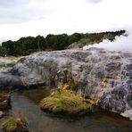 NZ Rotorua Teufels Küche