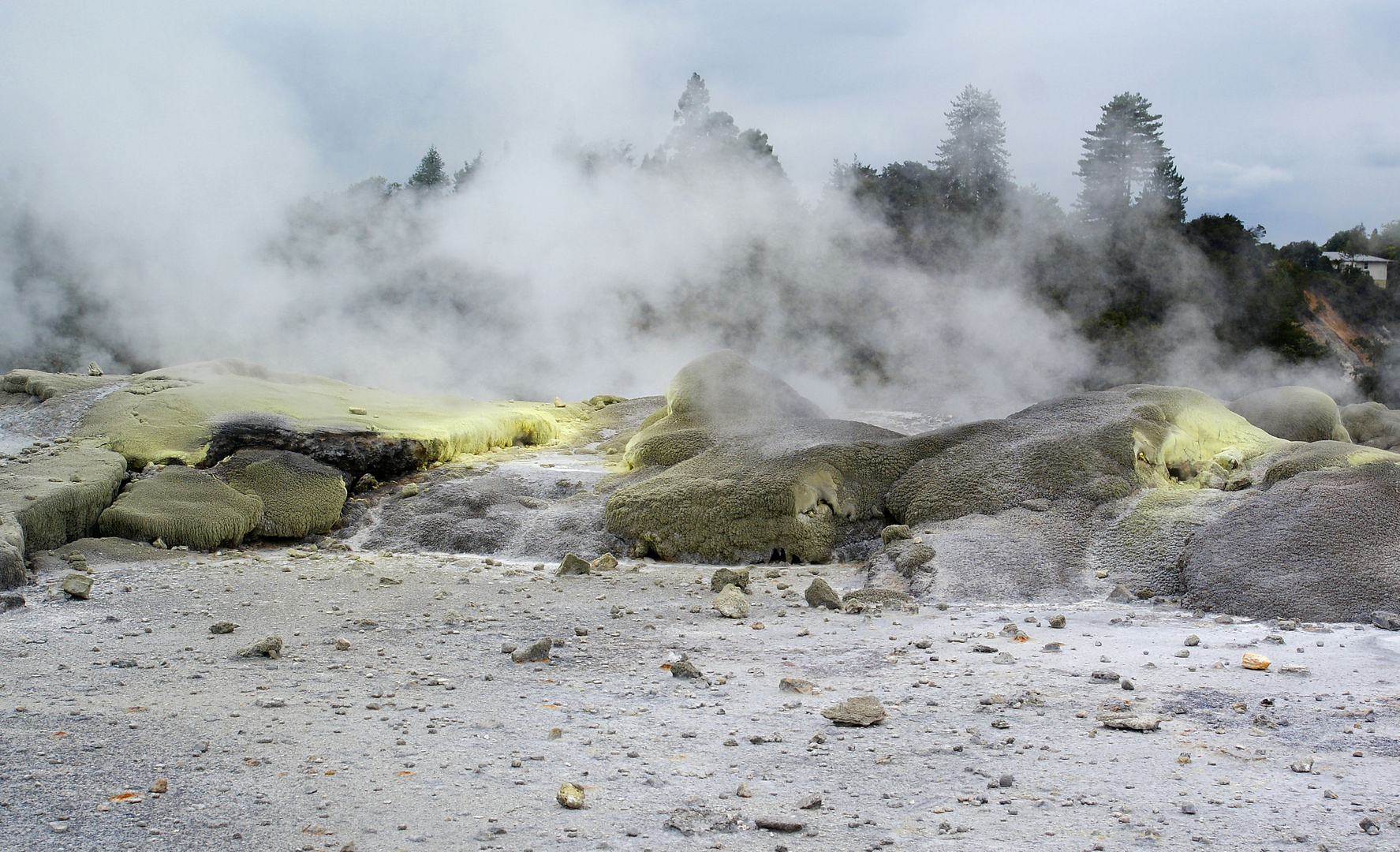 NZ Rotorua Urzeitstimmung