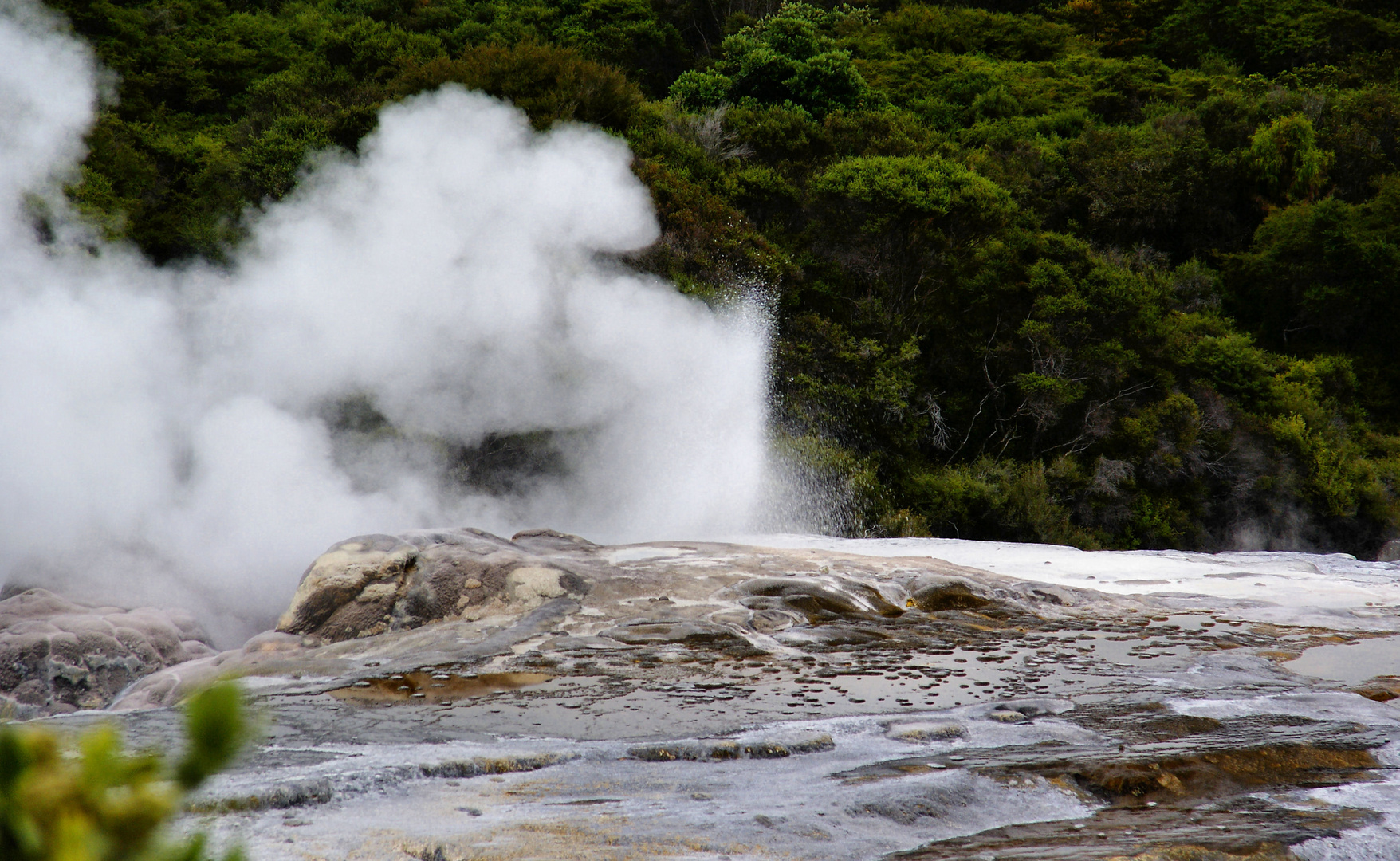 NZ Rotorua Wasserspiele
