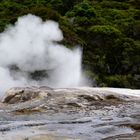 NZ Rotorua Wasserspiele