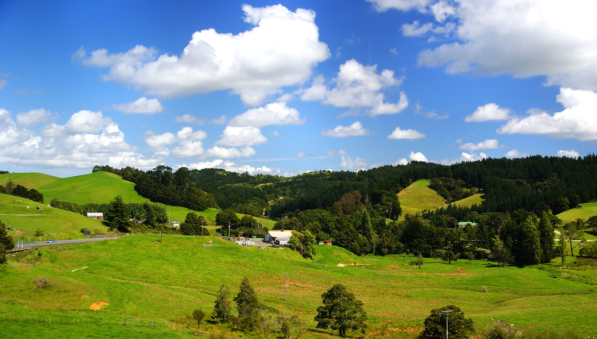 NZ Unterwegs nach Auckland