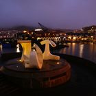 NZ Wellington Albatross Brunnen