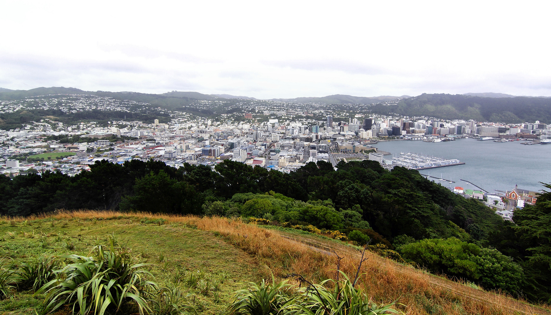 NZ Wellington vom Mt.Victoria