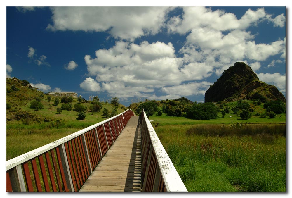 NZ's Wege durch die Natur