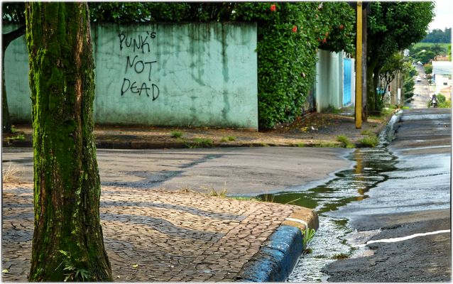 „ O caminho da água “