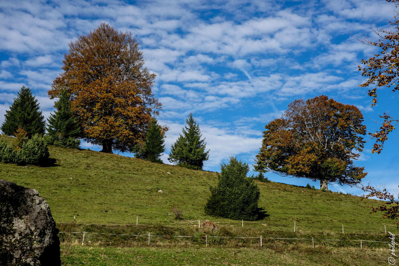 O  Herbst  O