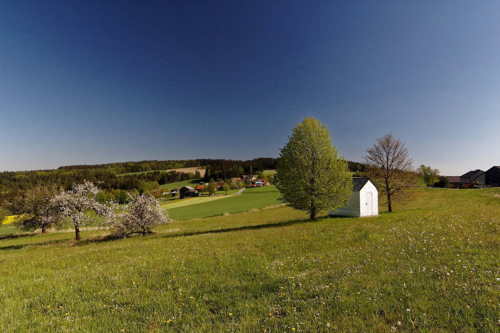 O herrliche Oberpfalz /Godas/bei Kemnath /Bayern