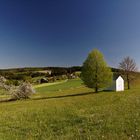 O herrliche Oberpfalz /Godas/bei Kemnath /Bayern