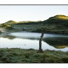 O lago solitário