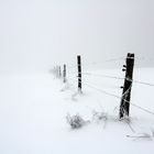 O mundo en blanco