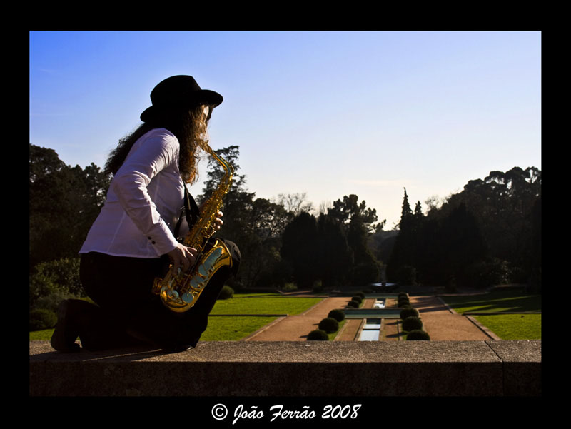 O musico de serralves