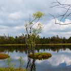 ---O schaurig ist´s übers Moor zu gehen---