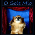 O SOLE MIO (mit Hamlet)