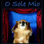 O SOLE MIO (mit Hamlet)