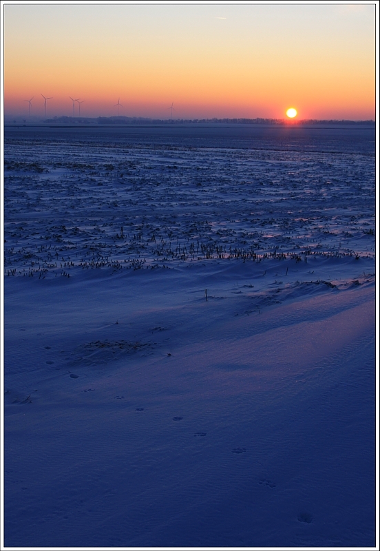 ''o'' | Spuren im Schnee