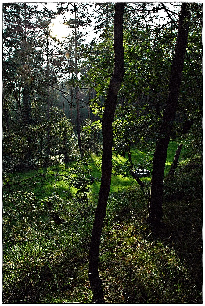 O stört sie nicht, die Feier der Natur!