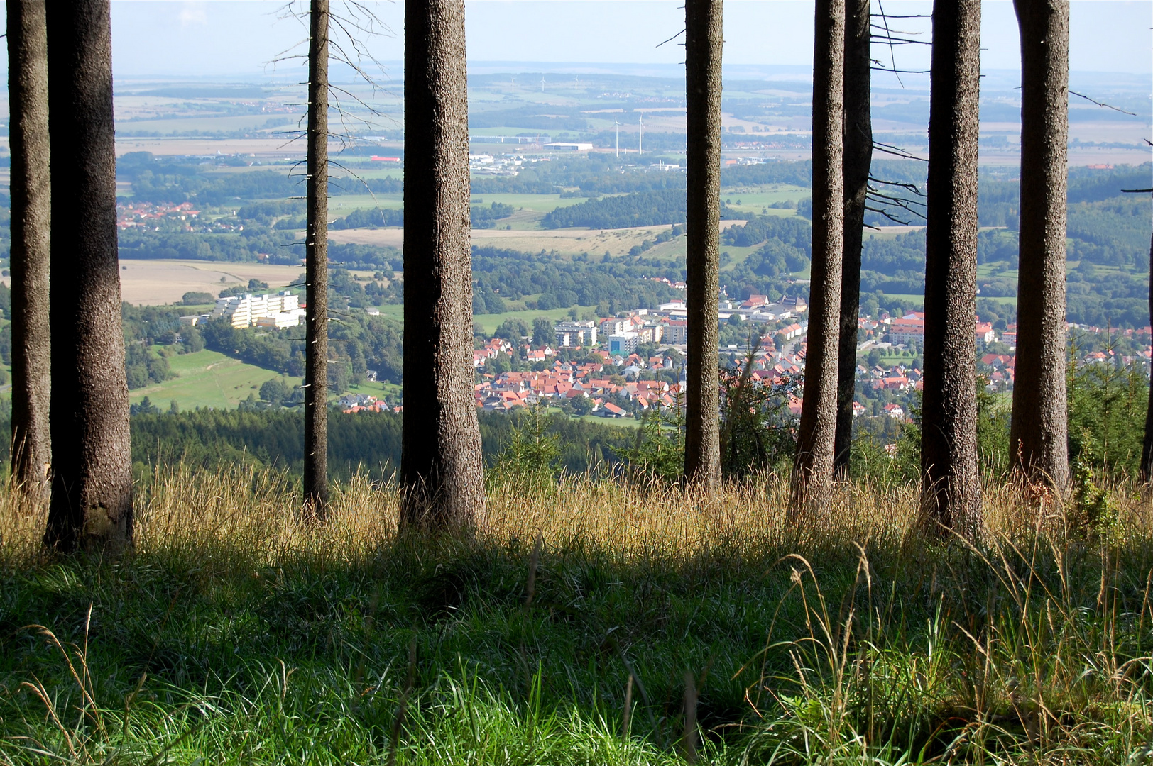 O Täler weit o Höhen, du schöner grüner  Thüringer Wald…