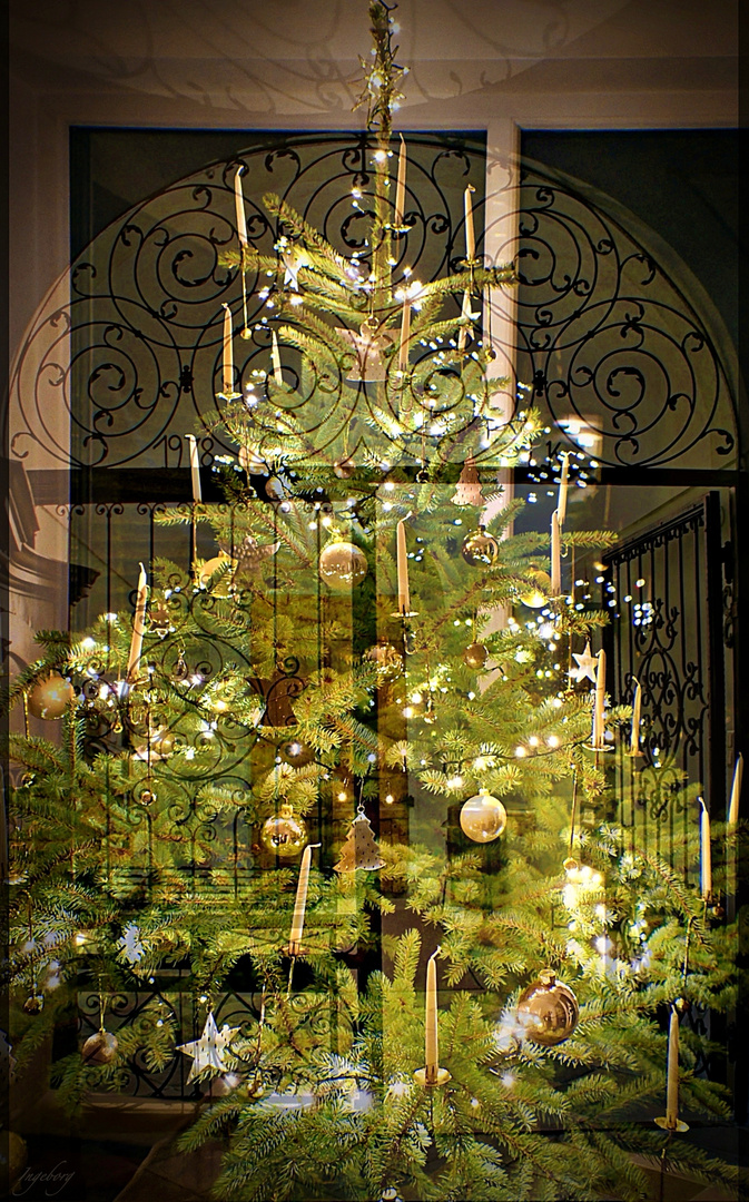 O Tannenbaum Foto & Bild weihnachten, tannenbaum, weihnachtslied