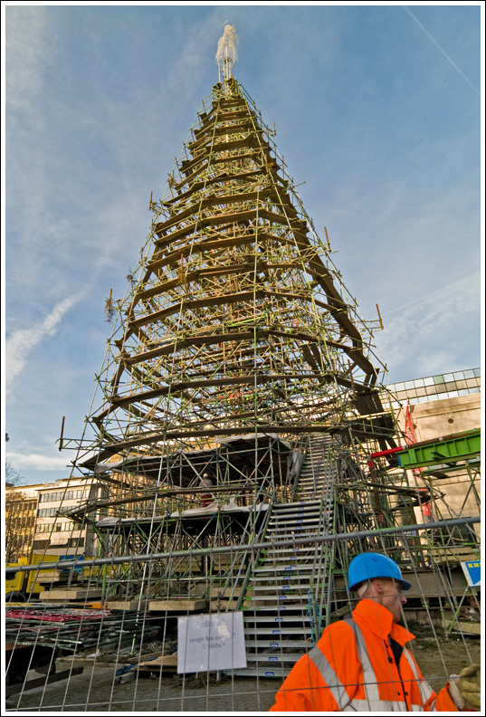 O Tannenbaum..