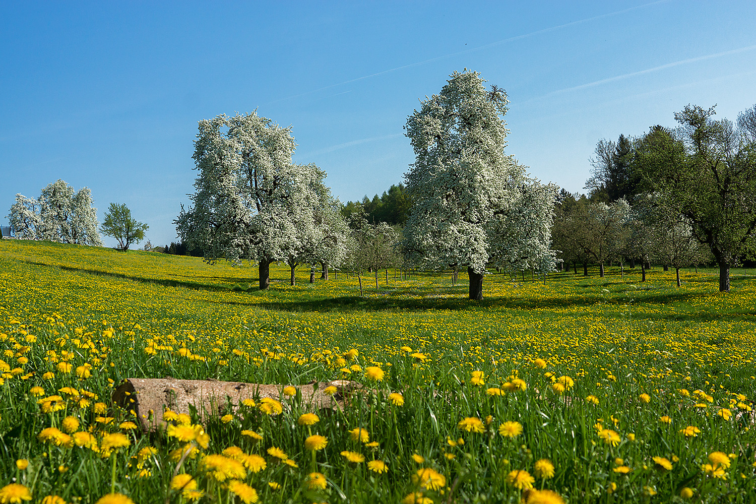 O Thurgau du Heimat II