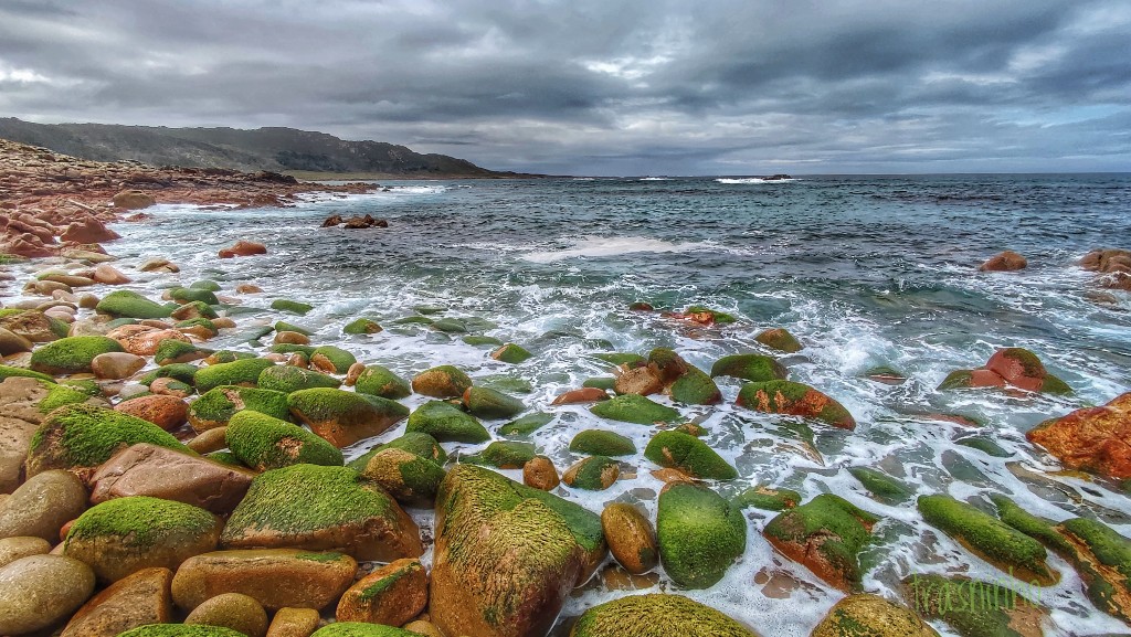 O verde do mar