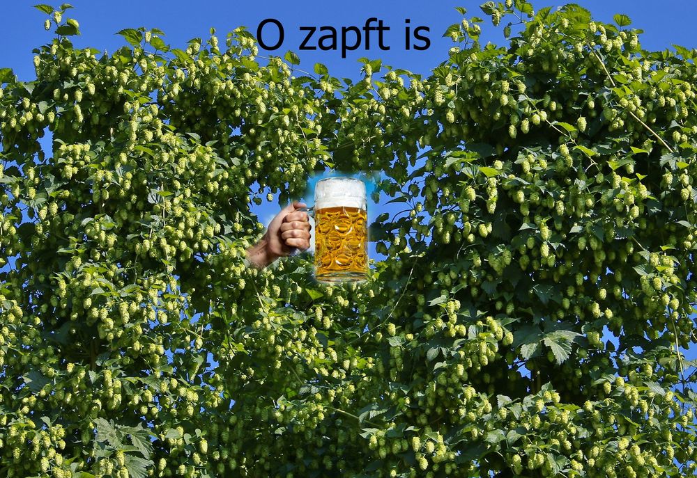 O zapft is