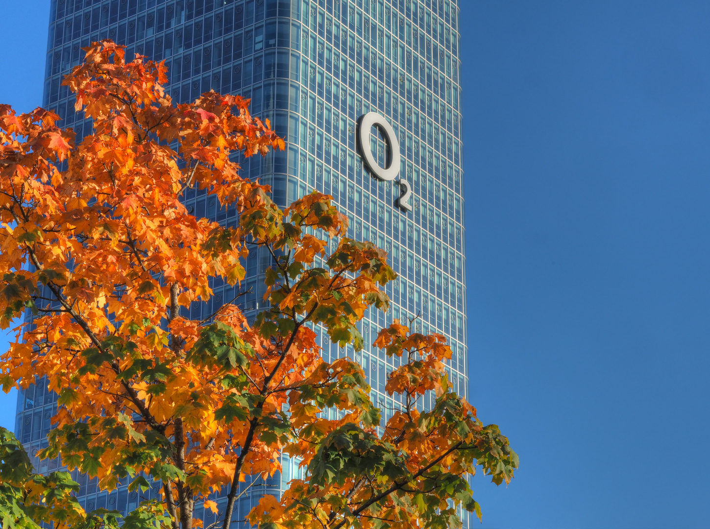 O2 im Herbst