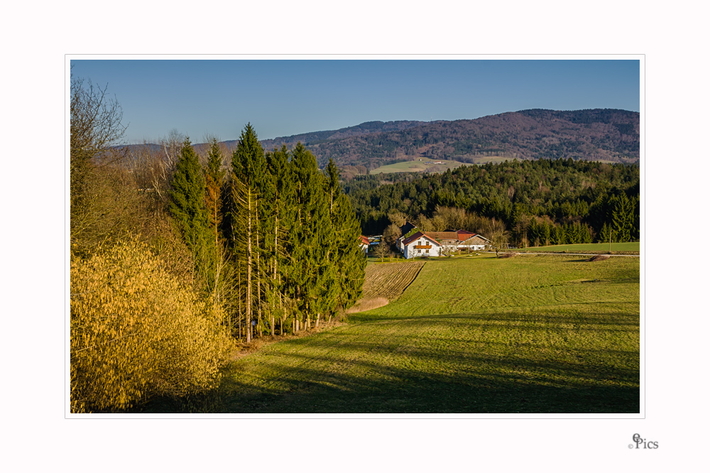 Oagschichte lebn