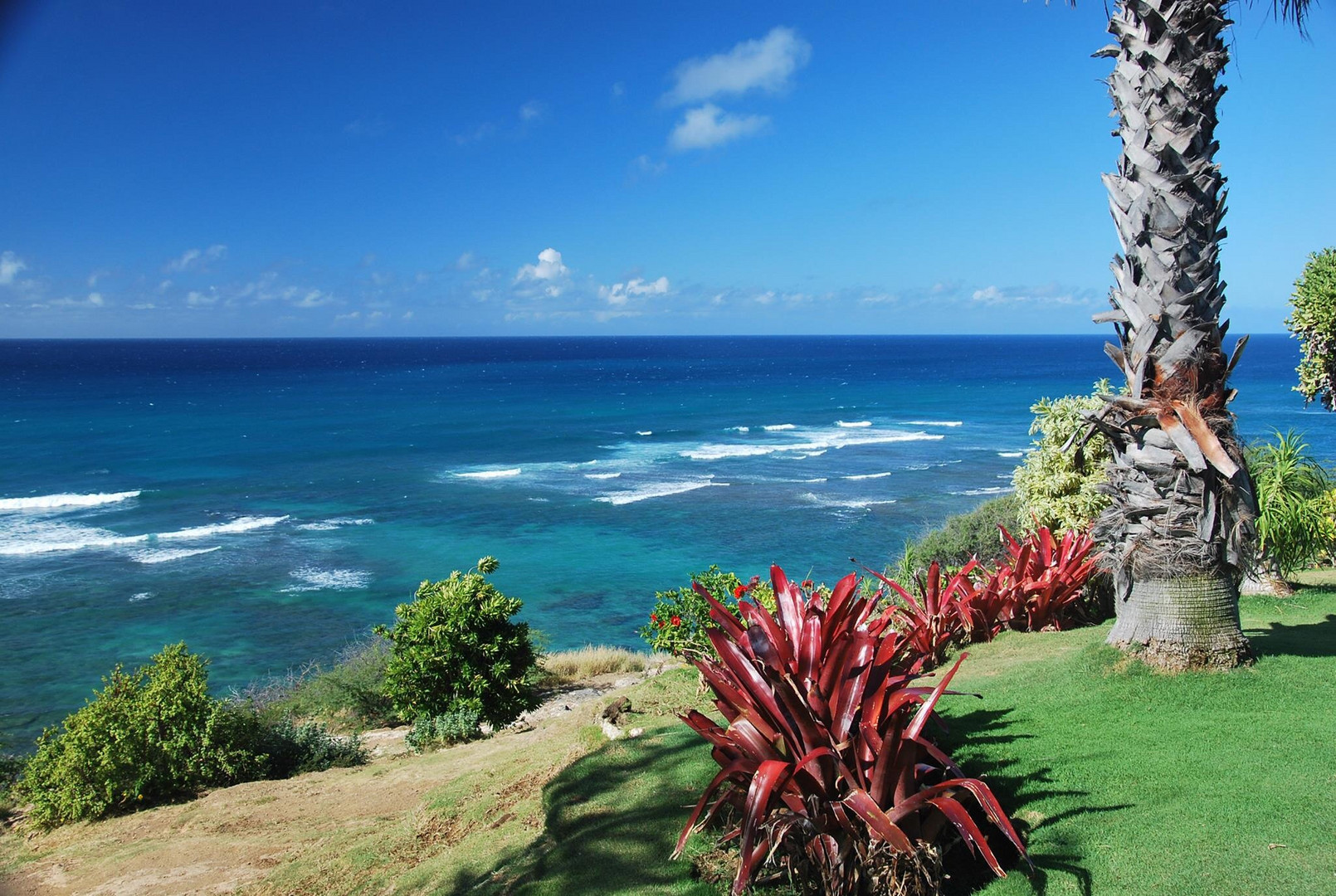 Oahu - Hawaii