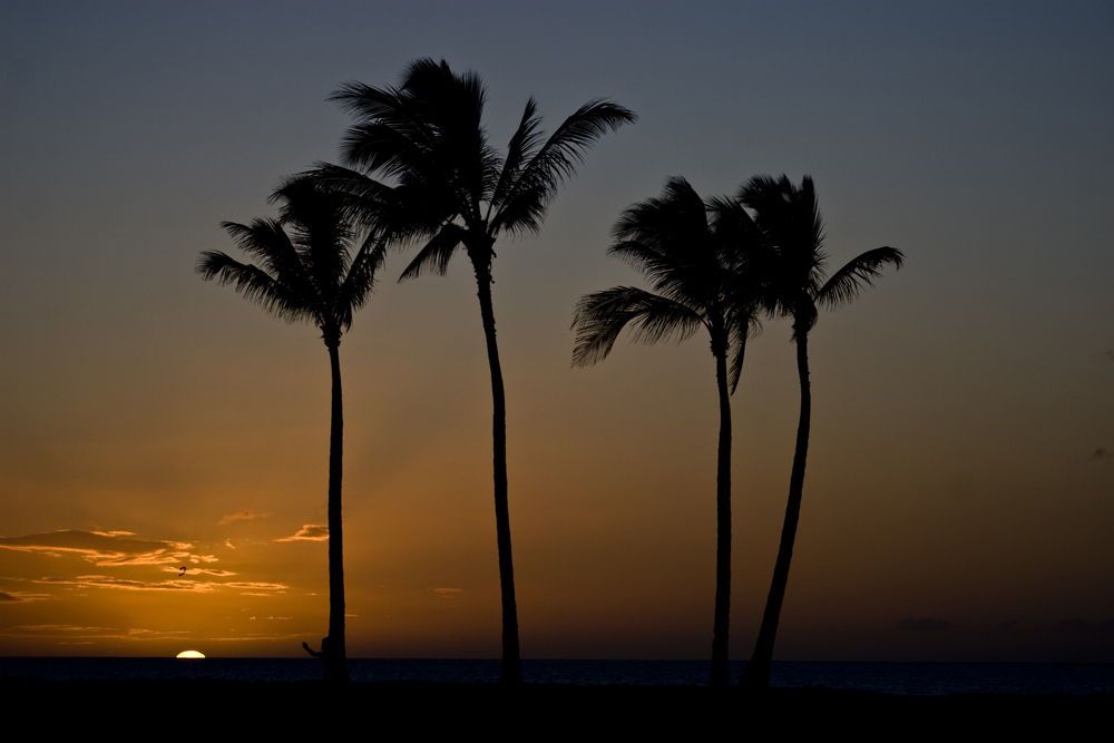 Oahu - Hawaii