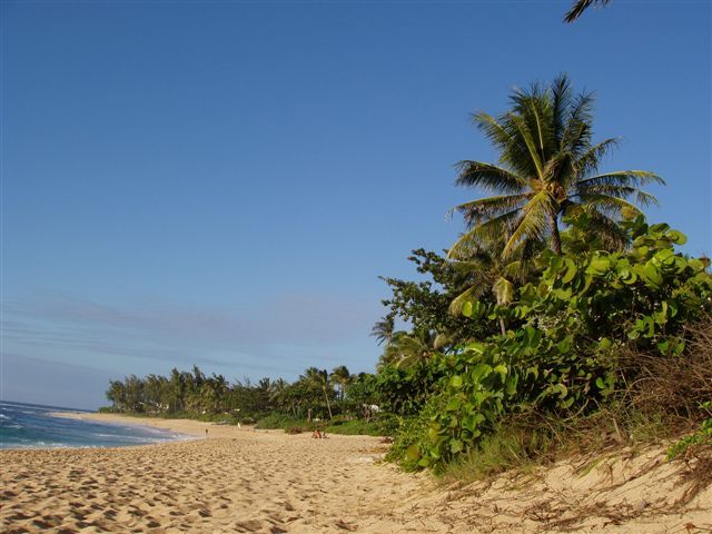 Oahu Hawaii - Sunset Beach