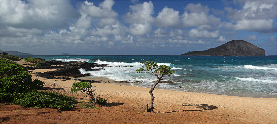 Oahu - North-East