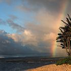 Oahu Rainbow