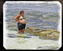 Oahu whale watching