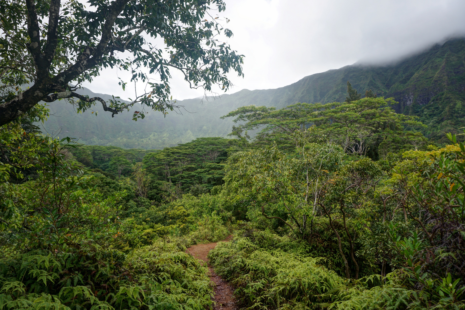 Oahu_5