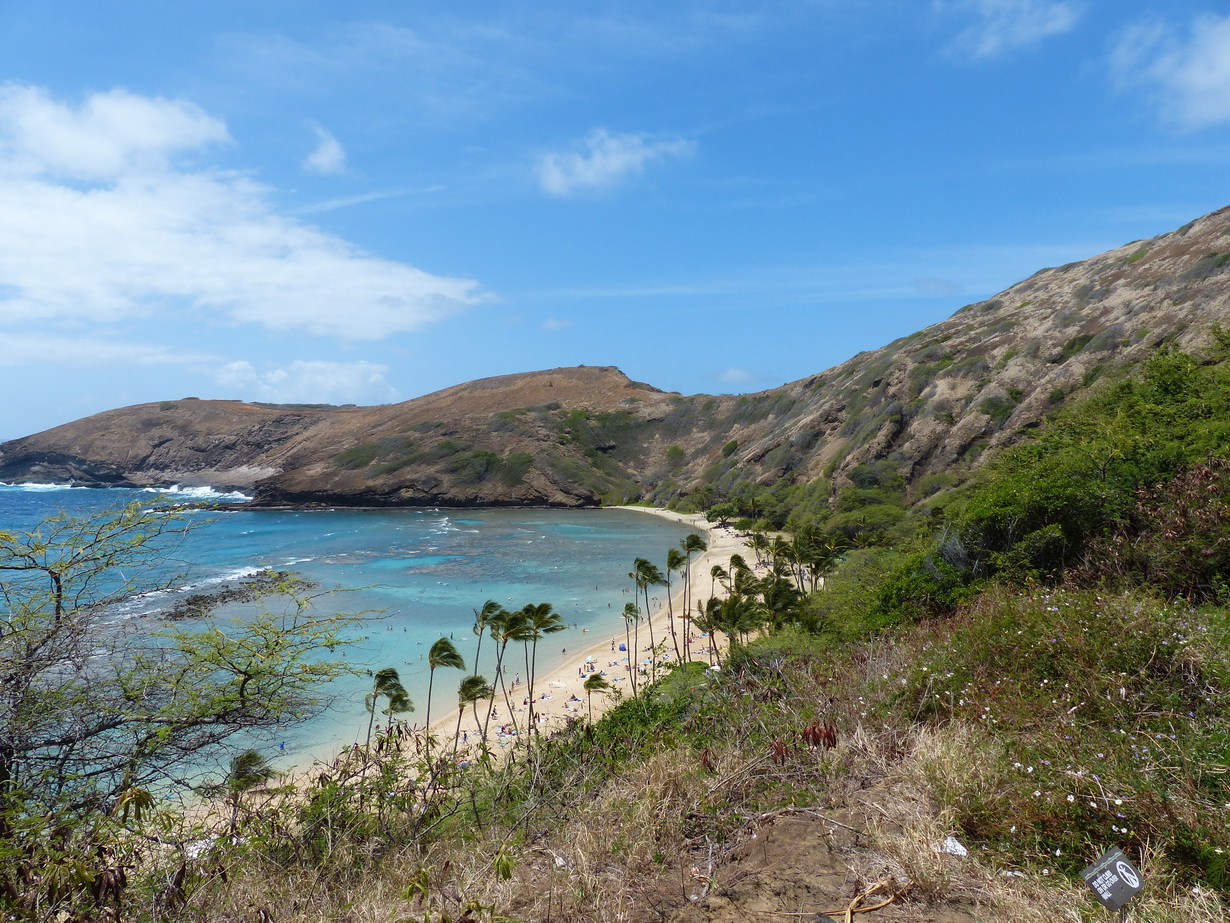 Oahu's Küste I