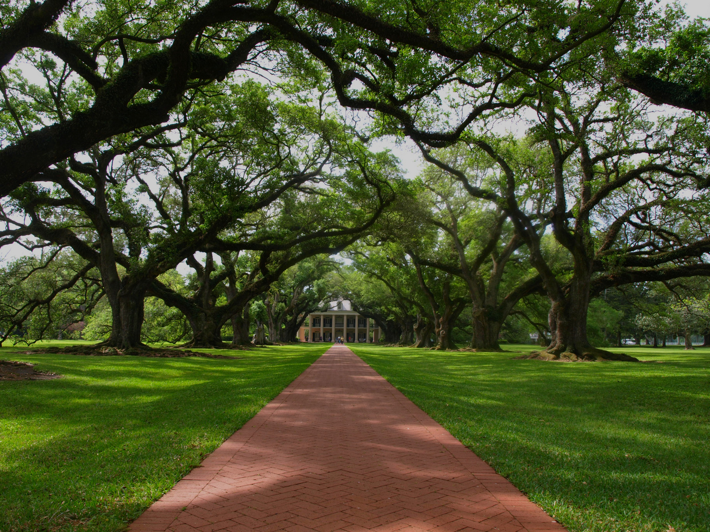 Oak Alley