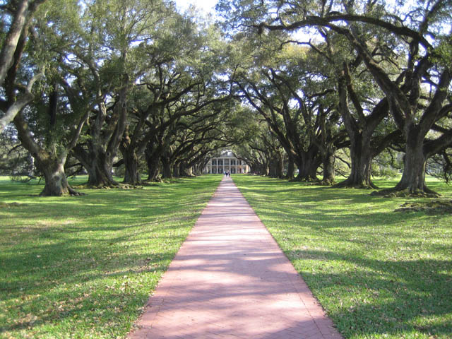 Oak Alley