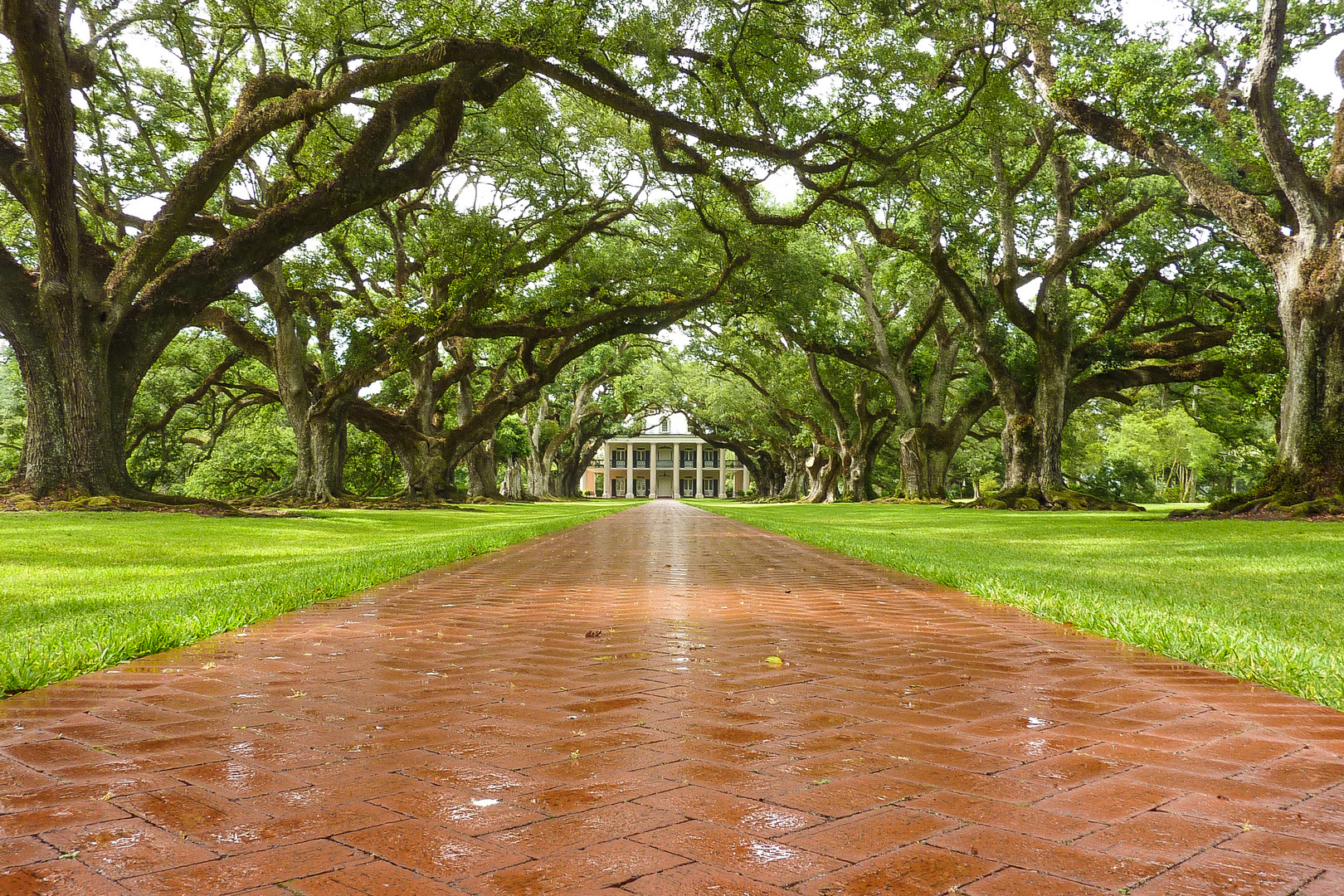 Oak Alley, LA