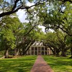 Oak Alley Plantage